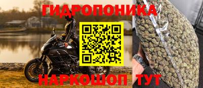 мяу мяу мука Пугачёв