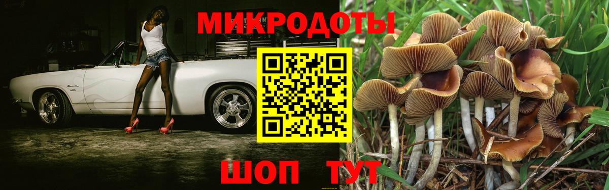 Галлюциногенные грибы Magic Shrooms  Вход с VPN  Галлюциногенные грибы Psilocybe  Сафоново 